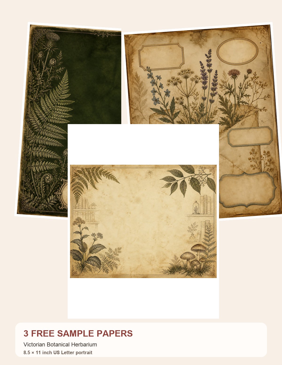 Free Victorian Botanical Herbarium Papers – 3 Printable Samples