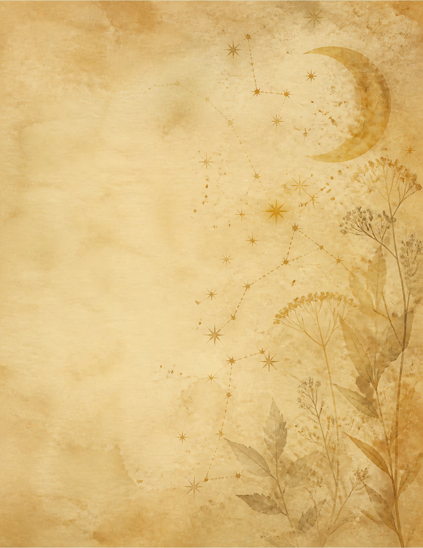 Celestial Botanica | Moon, Stars & Apothecary Digital Papers preview 6