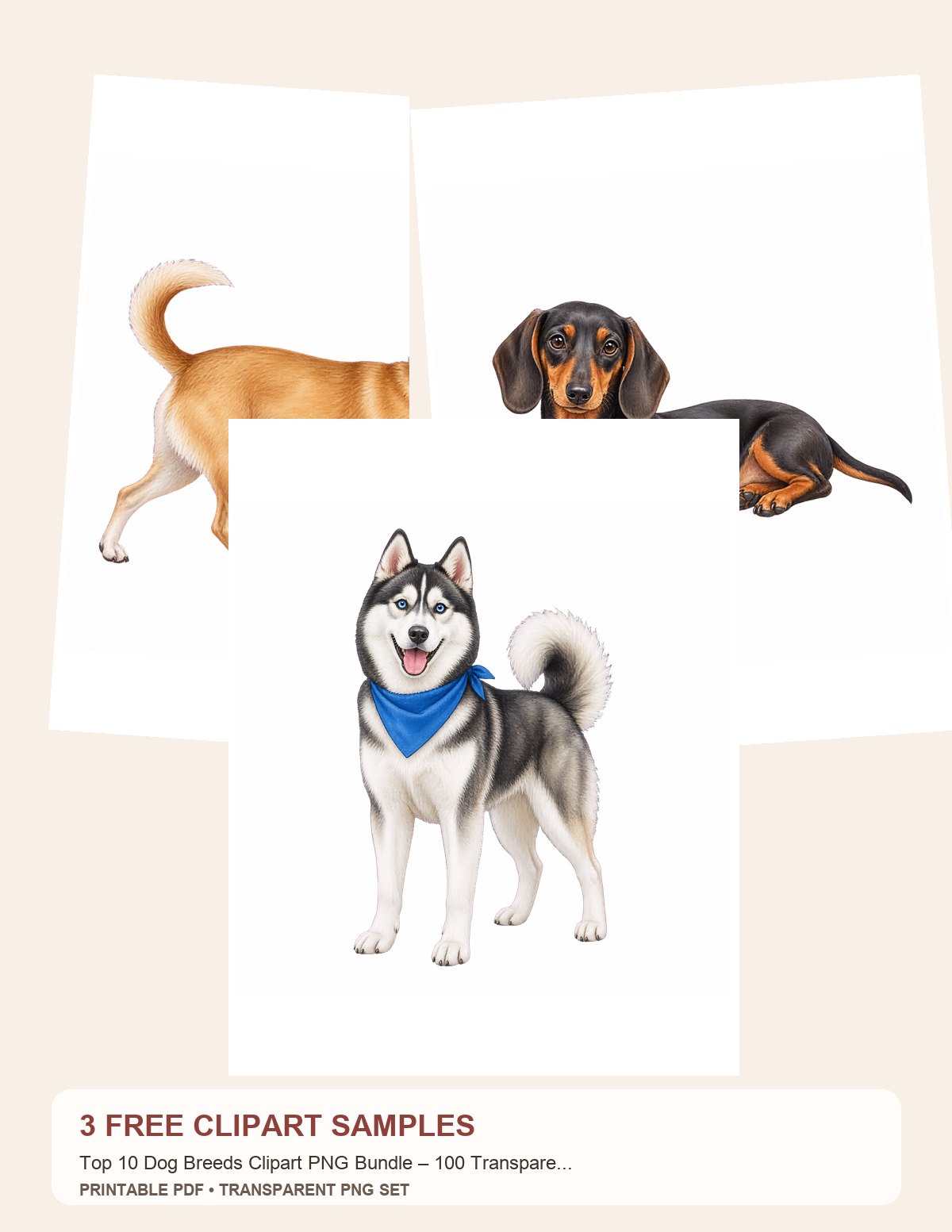 Free Top 10 Dog Breeds Clipart PNG Bundle – 100 Transparent Watercolor Dogs – 3 Printable Clipart Samples