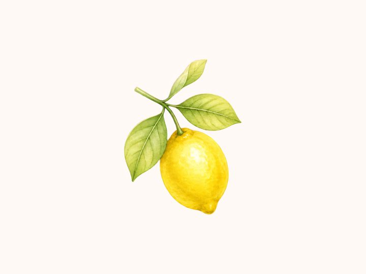 Watercolor Lemon A4 Adapted Collection