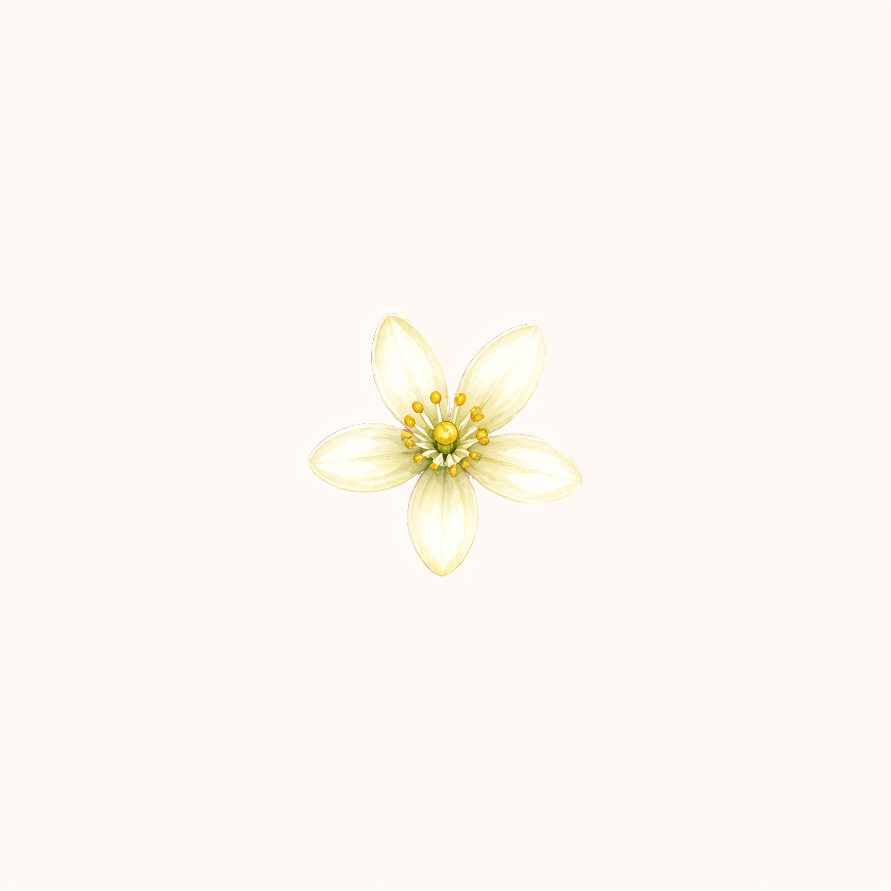 Watercolor Lemon A4 Adapted Collection preview 3