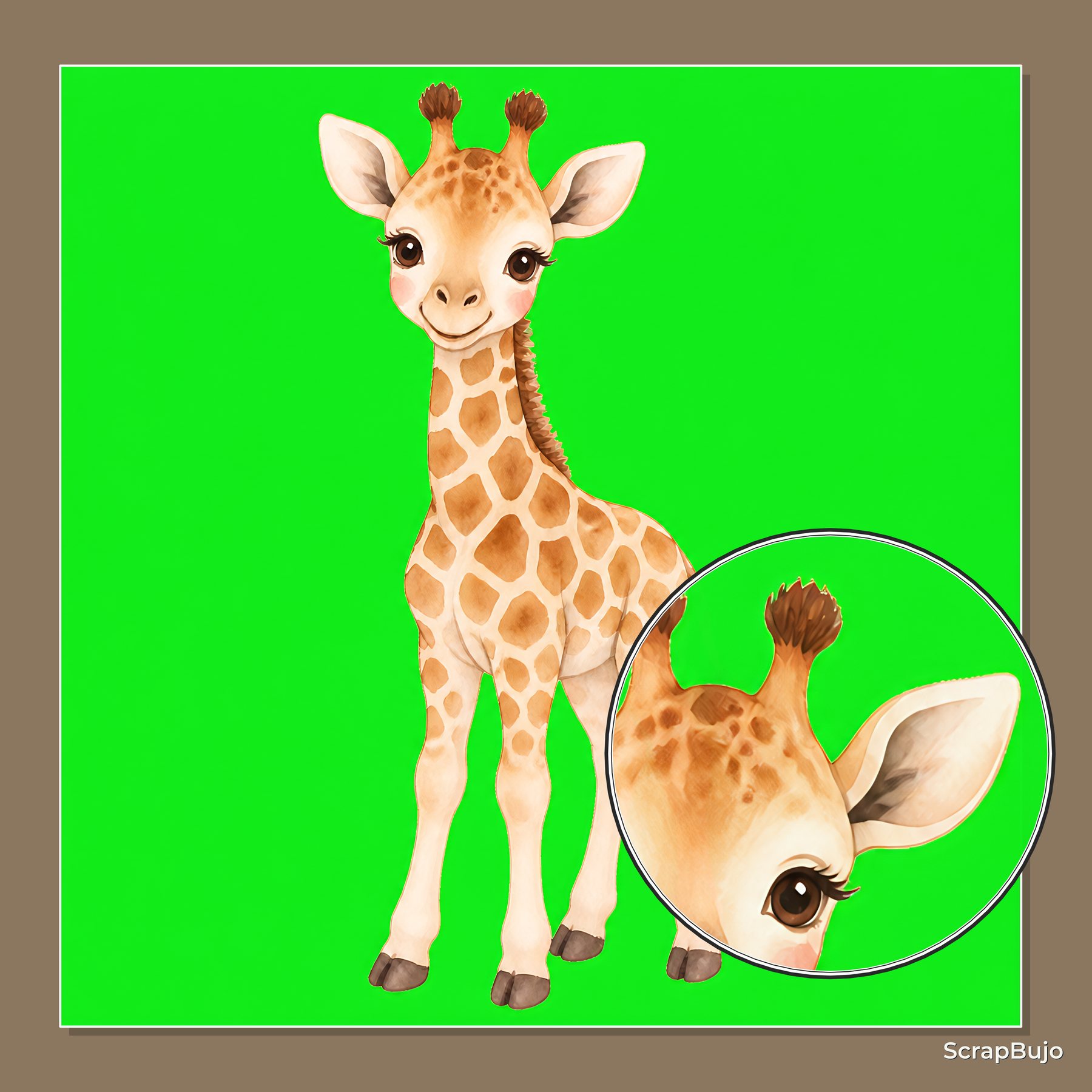 Baby Giraffe First Year Milestone preview 5