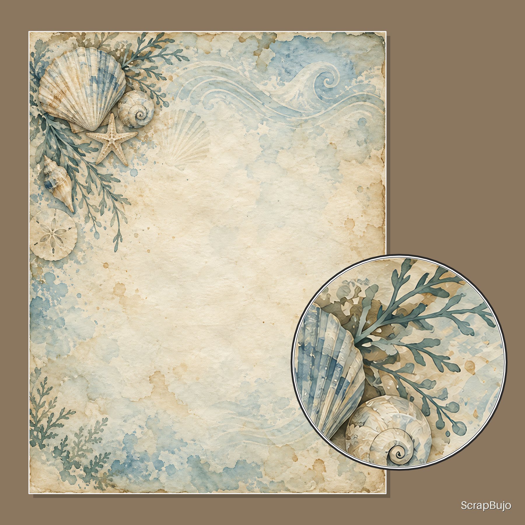 Coastal Seashell Nautical 40 US Letter Scrapbook Papers preview 6