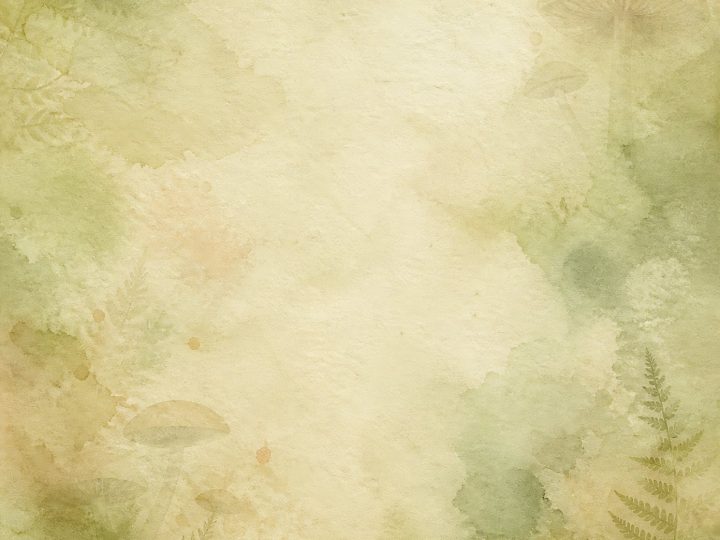 mushroom-postmark-weekly-giveaway