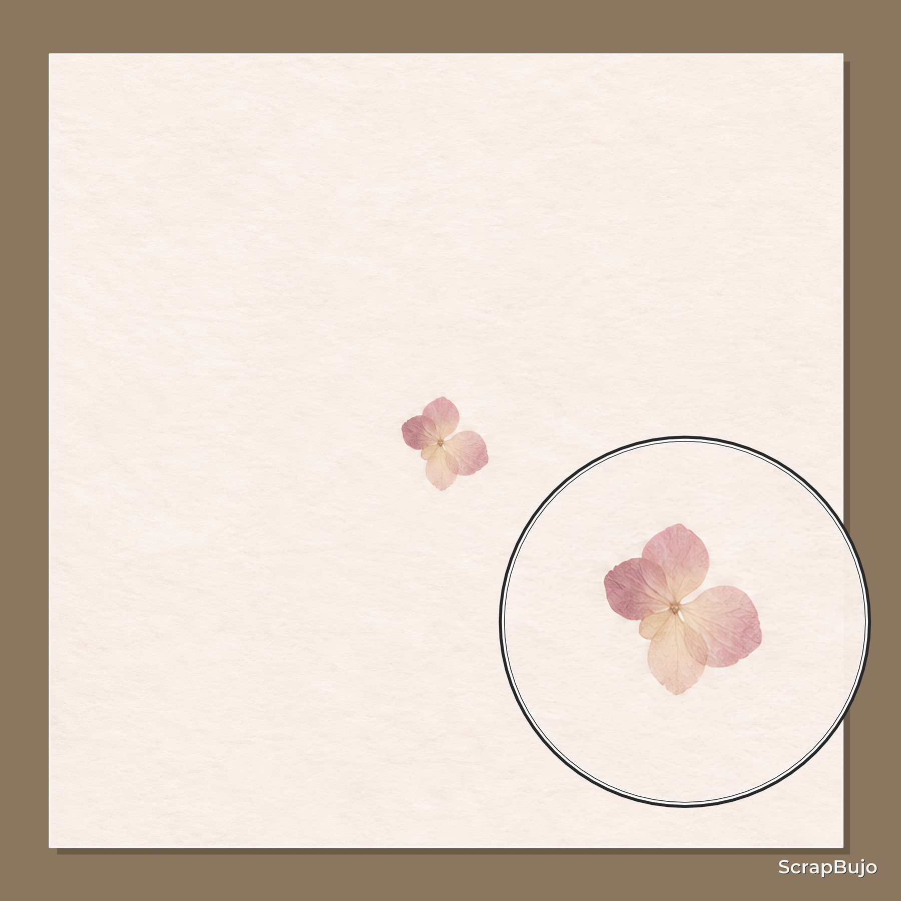Rose Letter-Writing Memory Signatures preview 6
