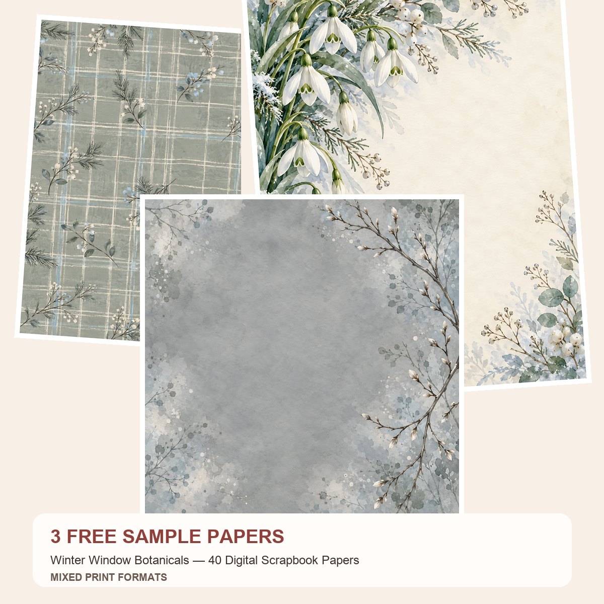 Free Winter Window Botanicals — 3 Printable Paper Samples